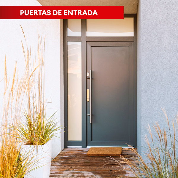 Sistemas para Puertas de Entrada